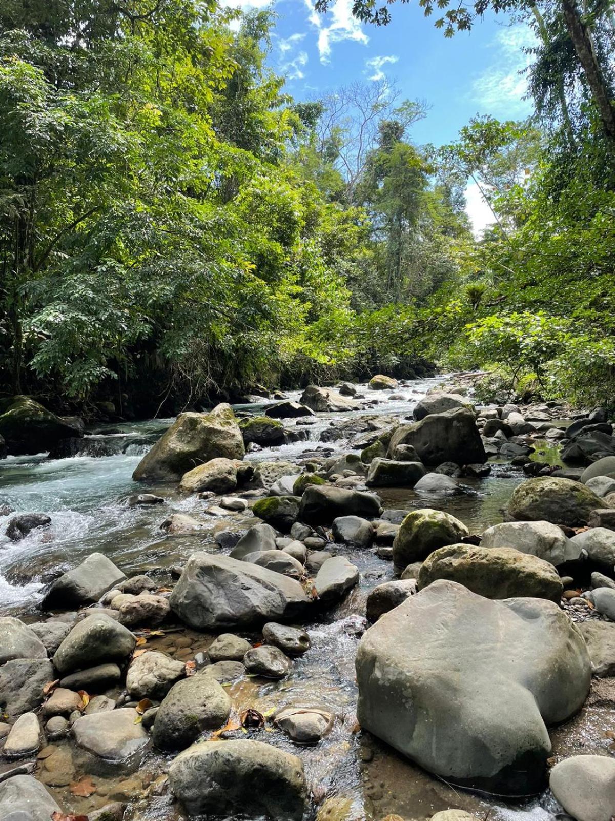 Cabinas La Catarata Ла Фортуна Экстерьер фото